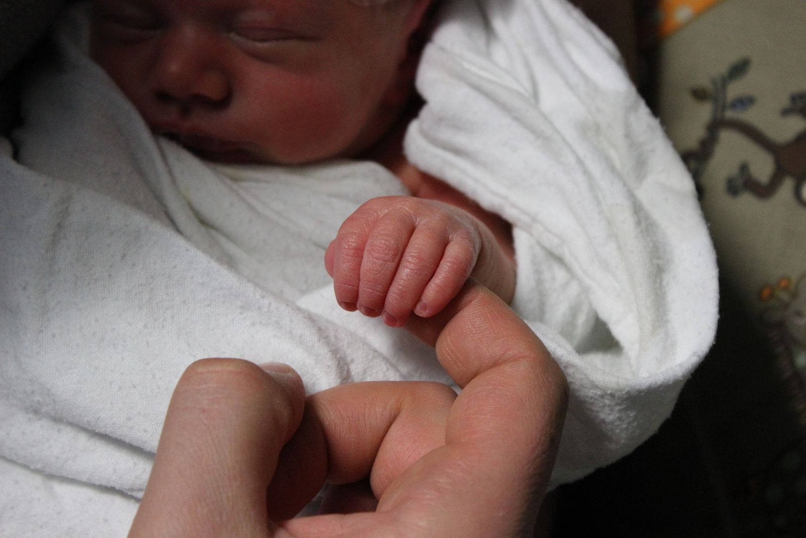 Baby's hand wrapped around a parent's finger