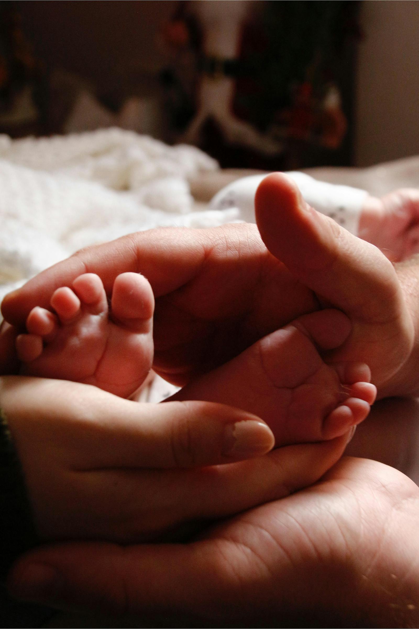 A parent's hands gently cradling tiny newborn baby feet